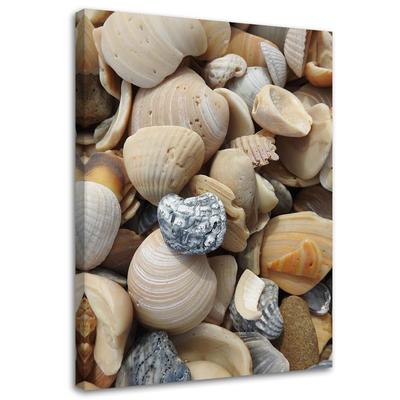 Canvas Print, Shells and Stones On a Beach