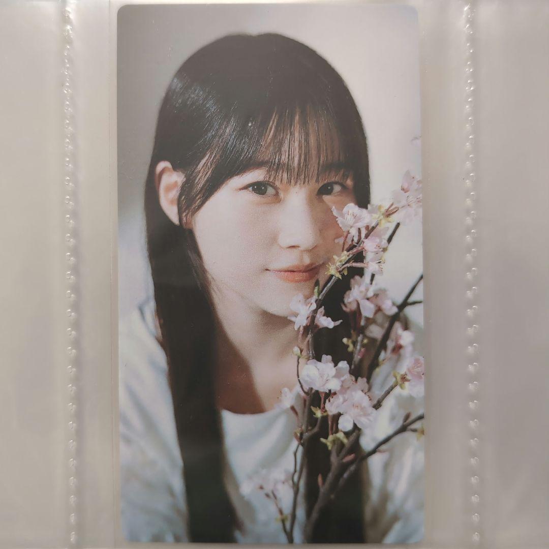 

[USED] Sakurazaka46 Sumiha Mukai Sakukore