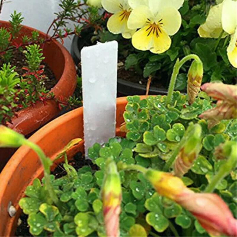 Succulent Plant Label1003D Ground Insert Waterproof Sun Protection Label SignDIYPlanting Tools Gardening Supplies