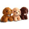 Teddy Dog Plush Toy Doll Puppy Doll Cute Poodle Gift for Children