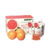 Hwangchil Healthy Fermented Vinegar - Pouch Drink Type (20 Pieces)