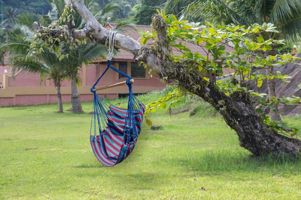 Garden Hammock Brazilian Chair Boho Swing Hanging Chair Armchair