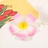 2Pcs Plumeria Flower Hairpin Non-slip Colorful Side Clips Decorative Plastic Hair Accessories for Women Girls