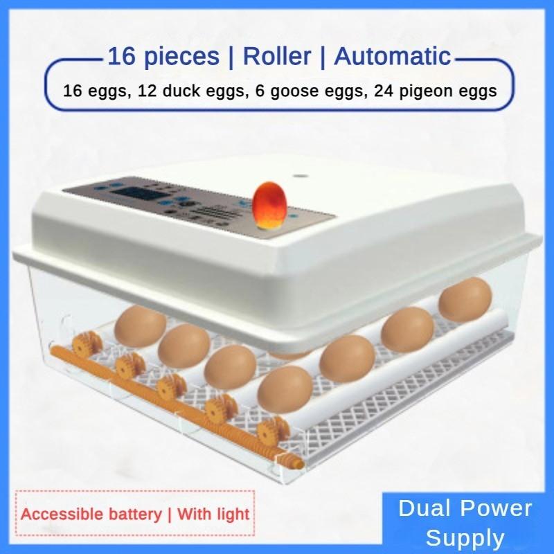50W Fully Automatic One Click Mini Incubator Small Household Egg Hatcher Multifunctional Intelligent Incubator 53 * 24 * 48cm