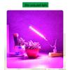 USB LED Plant Grow Light - Indoor Supplemental Light for Flowers, Bonsai, Succulents, 5V Small Table Lamp