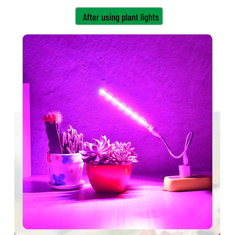 USB LED Plant Grow Light - Indoor Supplemental Light for Flowers, Bonsai, Succulents, 5V Small Table Lamp