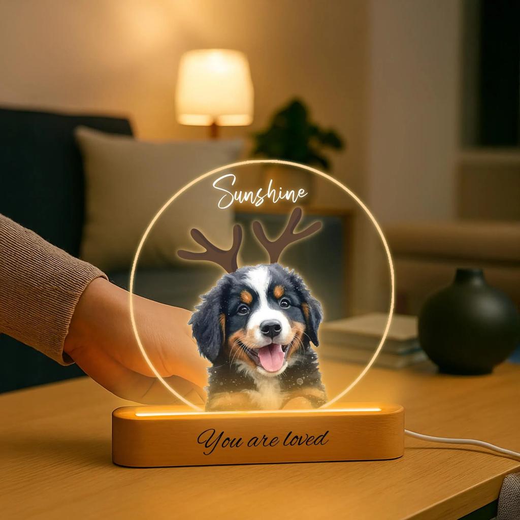 Individuelles Acryl-LED-Nachtlicht Personalisierte Haustierporträt-Design Mit Namensgravur Sentimentales Geschenk Für Tierliebhaber