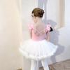 Children's Dance Clothing Autumn Girls Practice Clothing Sleeveless Grade Examination Chinese Dance Toddler Tutu Two-piece Set