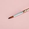 Nail Art Brush Nail Brush for Nail Art for Home Use and Professional Nail Salon Gel Nail Art Brush Clear Acrylic Handle