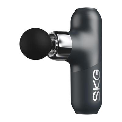 SKG F3-2 Ash Gray Deluxe Fascia Gun CN Plug (adapter Included)