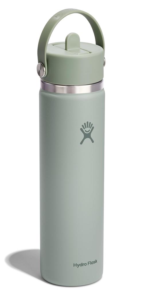 Wide Mouth Flex Straw Stainless Steel Water Bottle, 24oz (709ml), Agave Design, Insulated (Official Japanese Product)