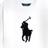 Polo Ralph Lauren Color Block Logo Long Sleeve Dress Kids Dresses White 313950935-001
