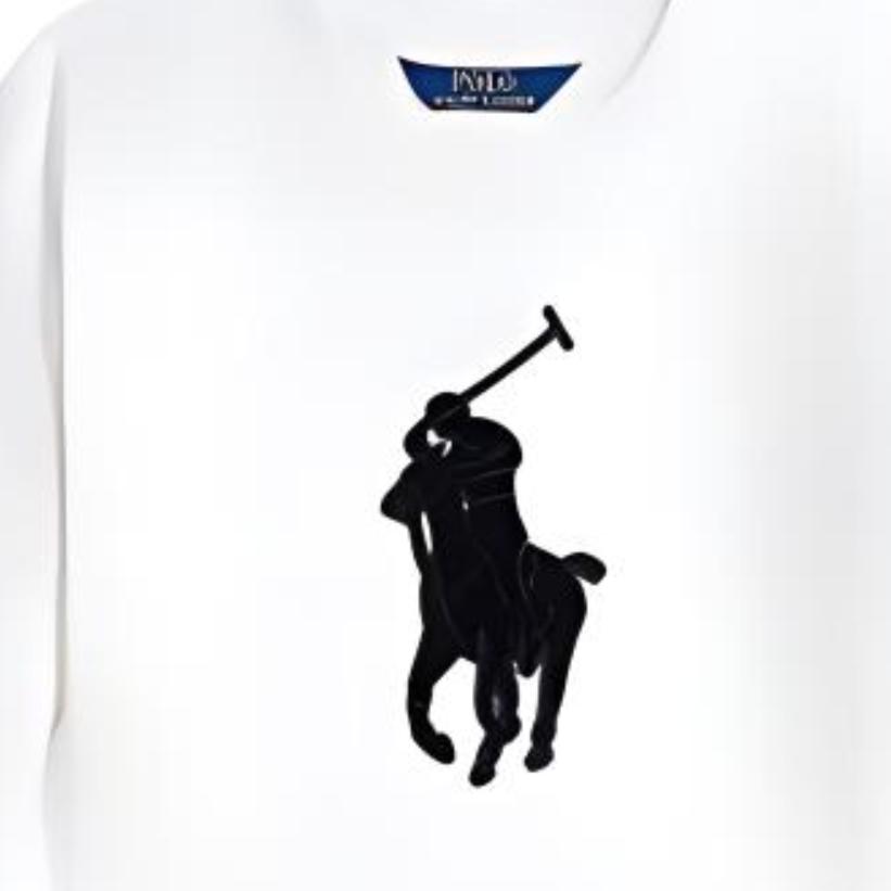Polo Ralph Lauren Color Block Logo Long Sleeve Dress Kids Dresses White 313950935-001