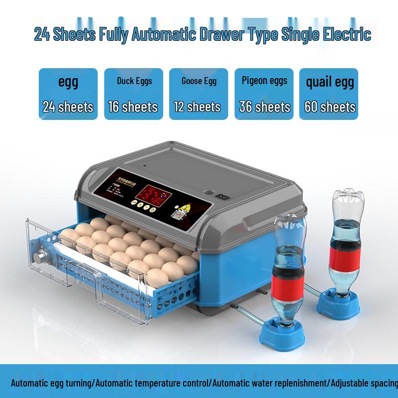 Luding Smart Automatic Egg Incubator for Small Eggs - Compact Household Model