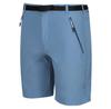 Regatta Xert Stretch III Shorts