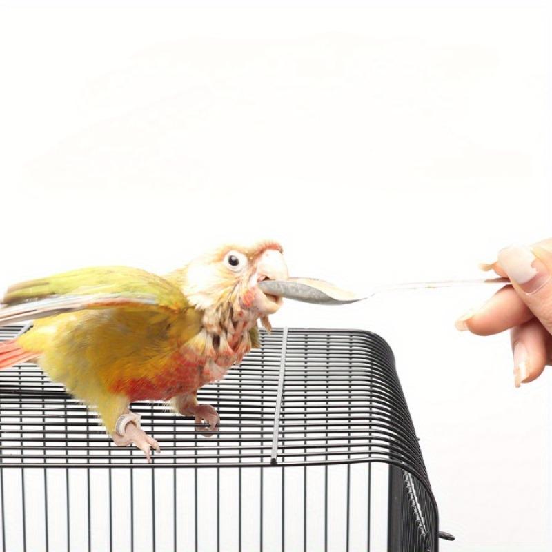 5pcs Stainless Steel Hand Feeding Spoon Suitable for Various Birds Parrots Medicine Milk Powder Feeding Tools.