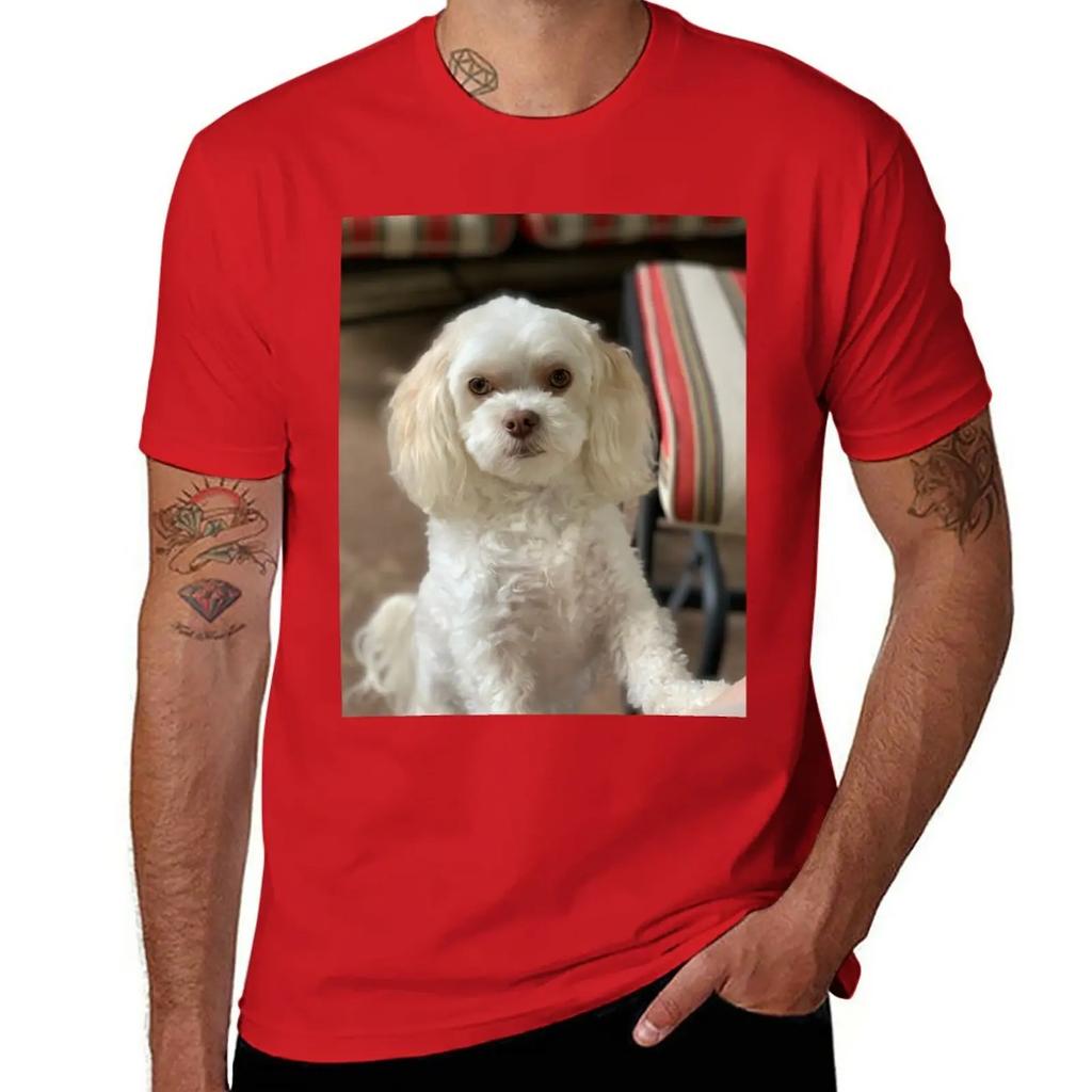 Maltipoo wants T-Shirt blanks anime clothes new edition tshirts for men