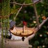 Outdoor Hanging Bird Feeder Tray, Umbrella-Shaped Bird Feeder Tray, Metal Hanging Bird Bath, Hummingbird Feeder, for Garden, Yard, Backyard Decoration