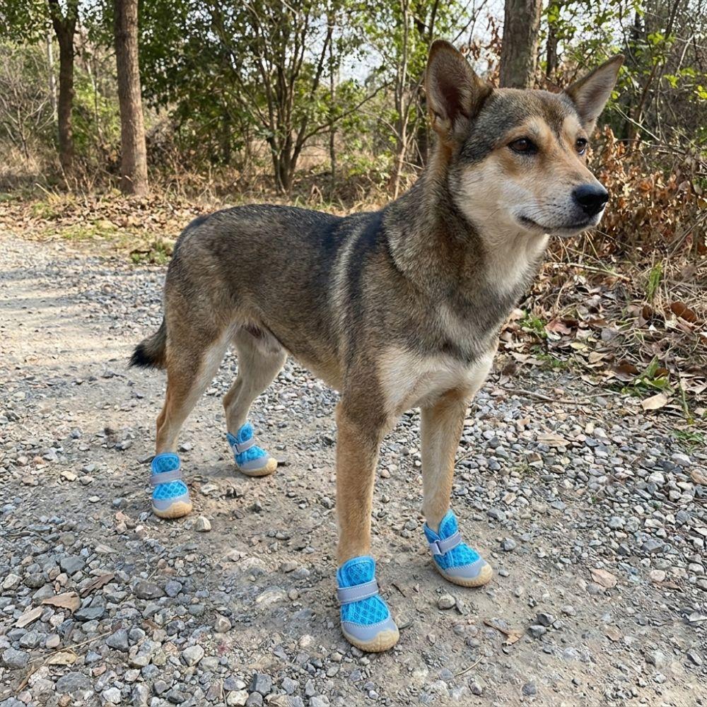 4PCS Breathable Puppy Foot Covers Reflective Pet Paw Protector Dog Mesh Shoes  Paw Protection
