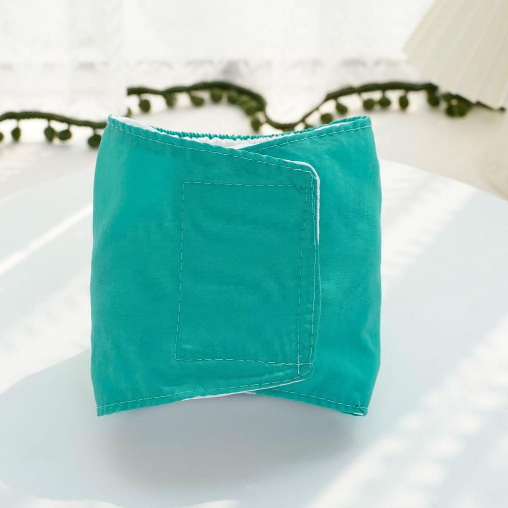 Pet Kitten & Female Dog Anti-Harassment Menstrual Diaper Clothing