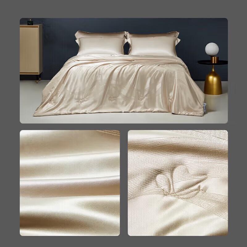 

Mengjie 100% Silk Four Seasons Negative Ion Quilt
