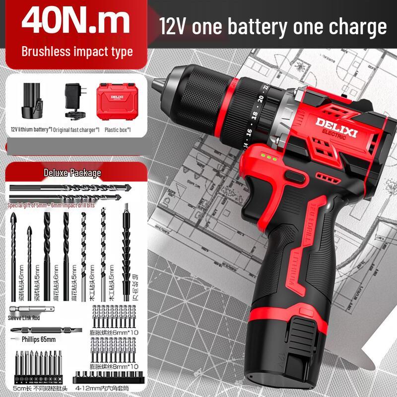 DELIXI Lithium-ion Brushless Cordless Drill/Driver CN Plug (adapter Included)