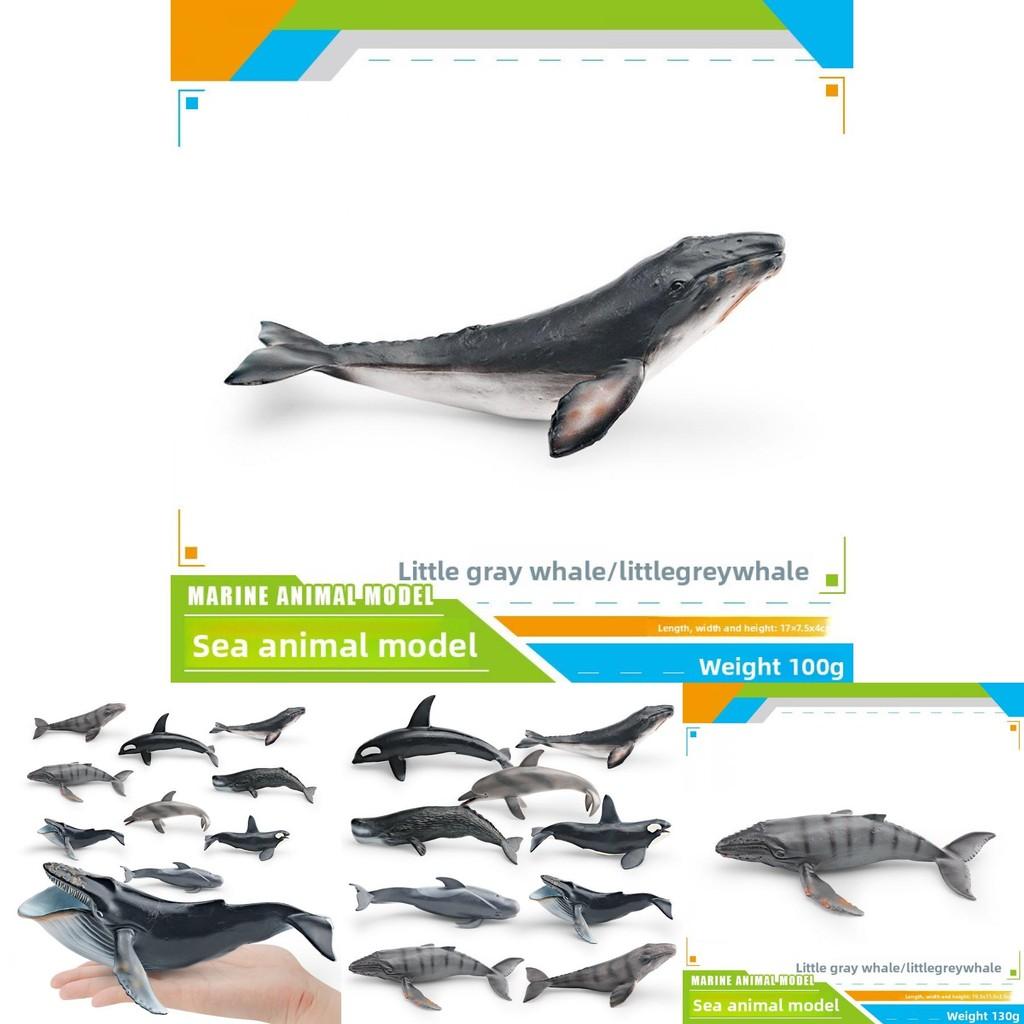 Kinder Meeresbewohner PVC Modellset mit realistischen Wal- und Delfinfiguren für pädagogisches Spiel