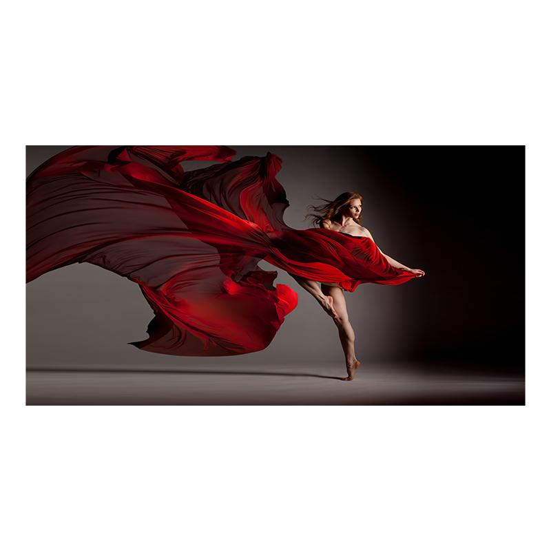 Elegant Dancing Girl Woman Canvas Painting Poster Ballerina Wall Art Print Decorative Picture Modern Living Room Home Decor Unframed