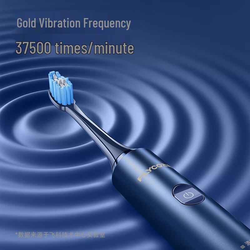 FLYCO FT7205 Sonic Electric Toothbrush