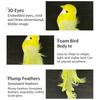 Long Tail Simulation Bird Six Colors Curly Feather Curly Bird Garden Backyard Foam Material Bird Figurines Home Garden