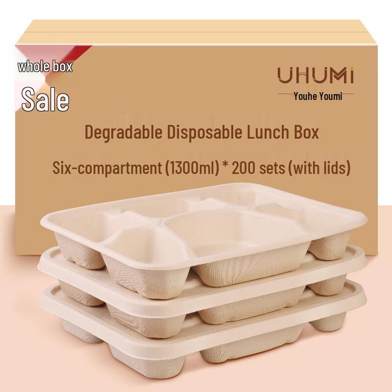 Eco-Friendly Compartment Takeaway Meal Boxes