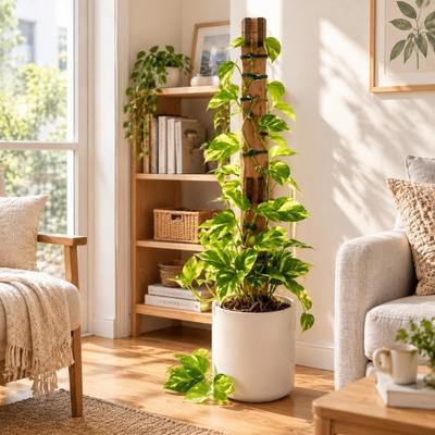 Hollow Out Plant Climbing Trellis Wooden Plant Stand Plant Support Frame  Indoor