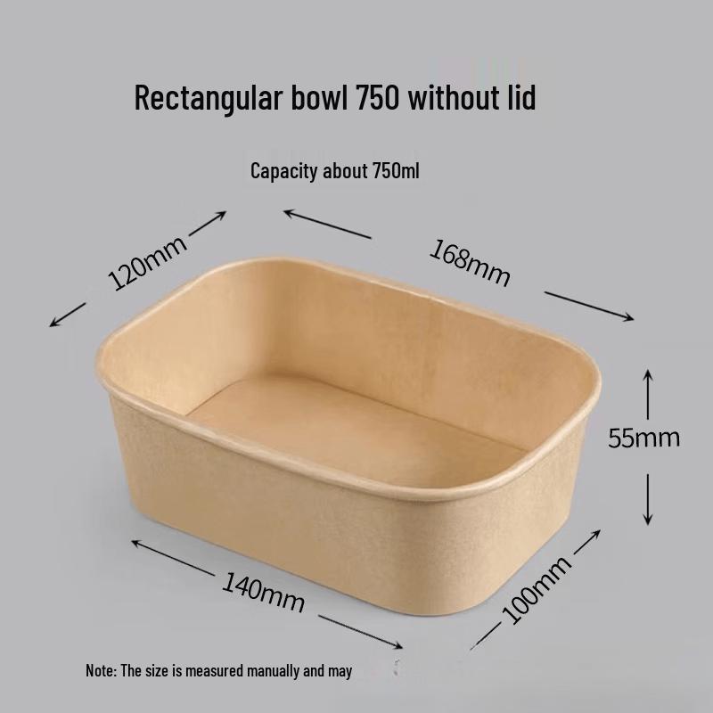 Rectangular Plastic Disposable Takeout Food Containers
