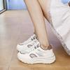 Autumn Mesh Heightening Dad Shoes Women's 2025 New Versatile Muffin Thick-soled 5CM Sports and Leisure Shoes Women's Shoes