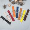 Accesorii pentru electronica inteligentă – Curele pentru ceasuri și brățări smart