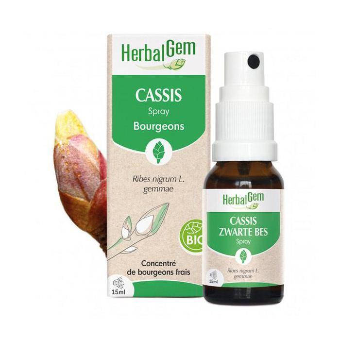 Herbalgem Cassis spray Bio 15ml
