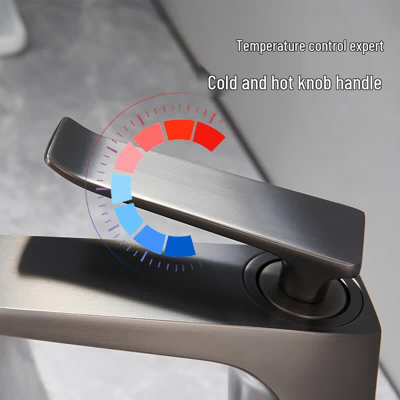 TLXT Brushed Gunmetal Brass Basin Faucet