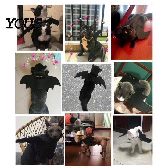 Pet Photo Prop Costume Cat Bat Wings, Halloween Costume, Puppy Cosplay Outfit, Wings Cute for Cats Dogs Party Dress Up Accessory
