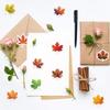 Fall Leaf Stickers 500 Pieces Maple Leaf Envelope Stickers Adhesive Seal Decal Roll For Crafts Journaling Water Bottle Planner