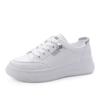 White Shoes Women's Shoes New Spring and Autumn Sports Board Shoes Women's Super Popular White Versatile Casual Shoes