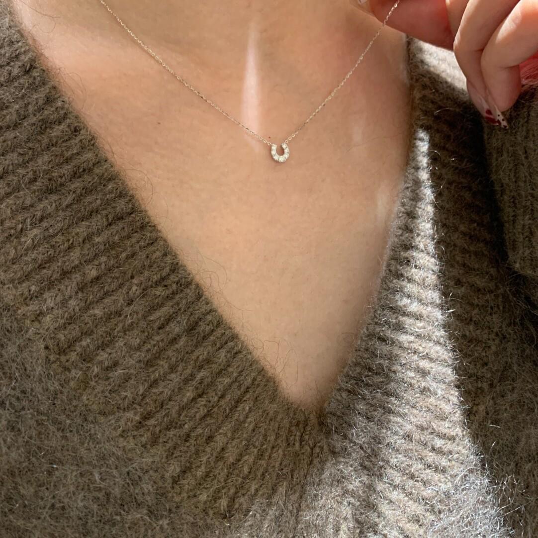 Xiaohongshu U-Shaped Horseshoe Necklace for Women - Elegant Clavicle Chain, Niche Design