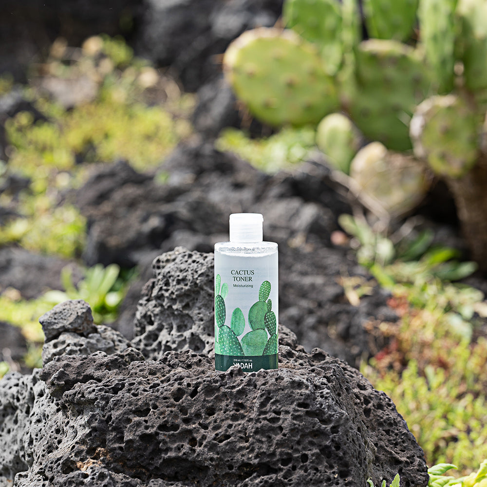 YADAH Kaktus Toner 210ml