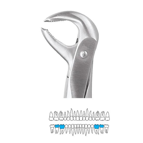 

GDC Extraction Forceps Lower Molars - 73 Premium (FX73P)
