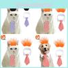 Unique Hair Fluffy Wig With Blue Tie For Cats And Dogs Ideal For Weddings Birthdays And