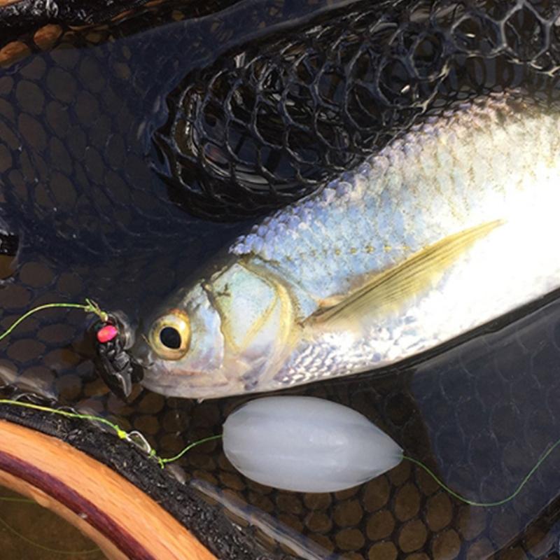 Luya Fly Bait, Fly Hook, Mung Bean Fly, Horse Mouth, White Striped Tilapia, Predatory Freshwater Fish, Fake Bait Fishing