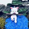 Yousheng 1 Set Fish Tank Decoration Exquisite Mini Cat Statue Ornament with Small Floating Ball Aquarium Accessories