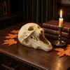Gruseliger Kiefernschädel Tischornament 3D Gedrucktes Halloween-Ornament, Realistische Horror-Statue, Gruselige Detaillierte Figur für Regale mit Scharfen