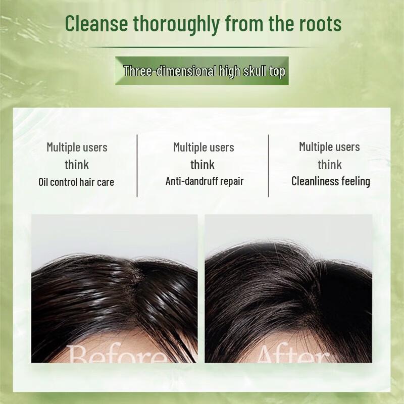 Schwarzkopf Ginger Essence Oil Control Shampoo