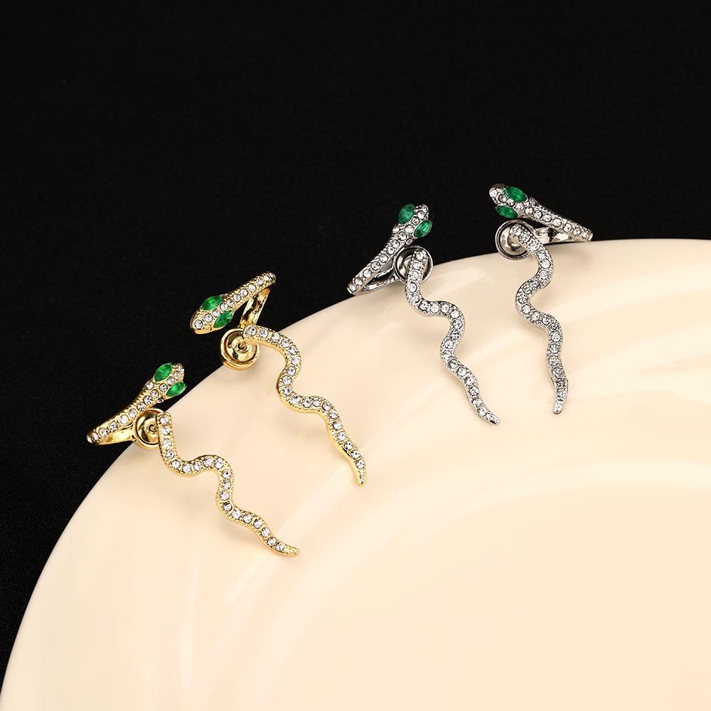 Letní náušnice vyšší třídy Retro Rok Narození Vynikající malé náušnice s hadem Niche Lehký luxus Personalizované módní náušnice