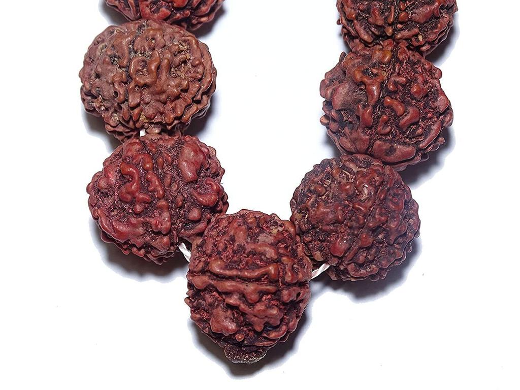 Pure 5 Mukhi Rudraksha Mala Big Size 108+1 Beads S1218